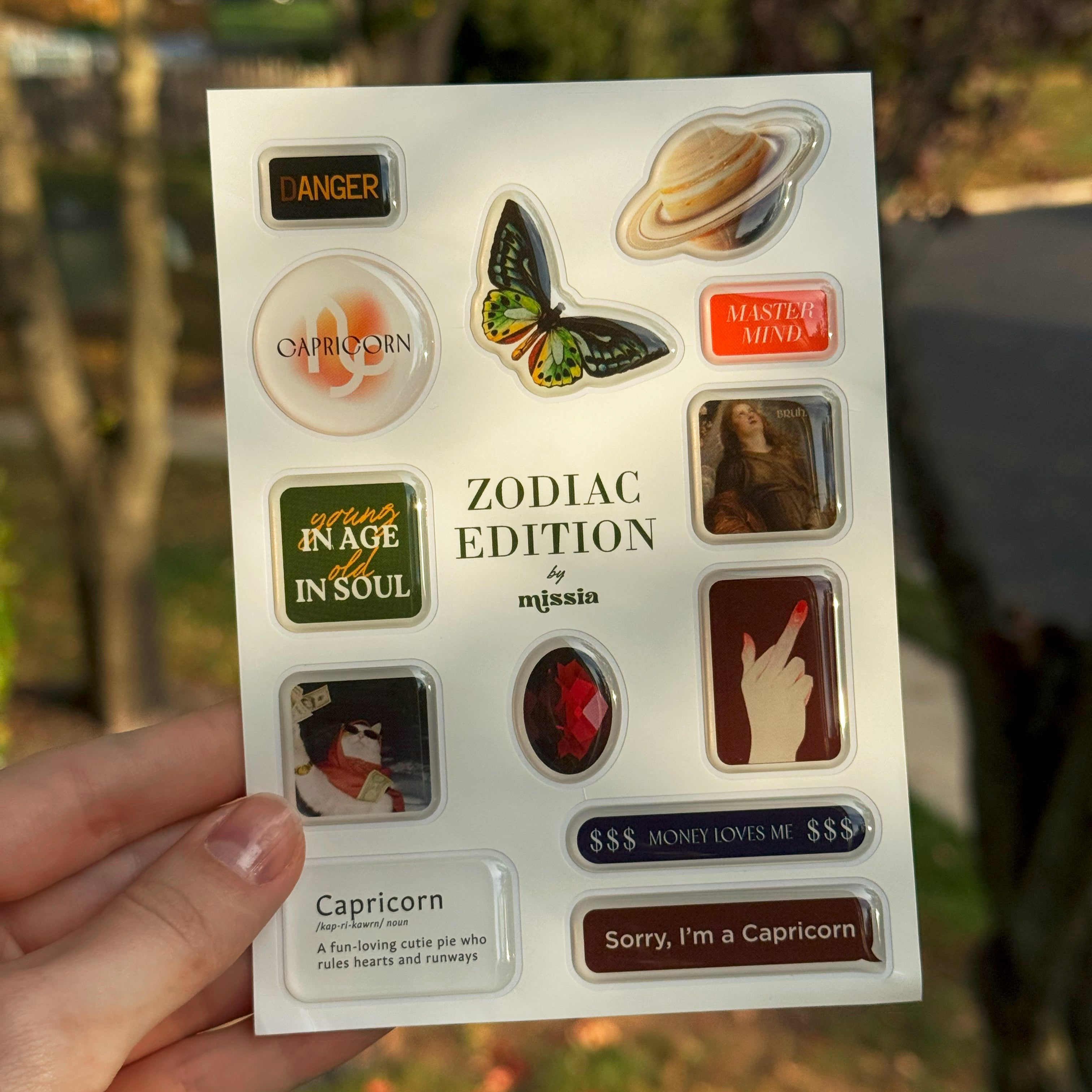 Capricorn Zodiac Epoxy 3D Sticker Set