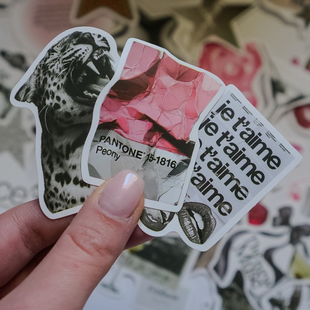 Pink & Silver Aesthetic Stickers – 50 pcs | Coquette Glam, Leopard & Y2K Collage Pack - MissiaVibes