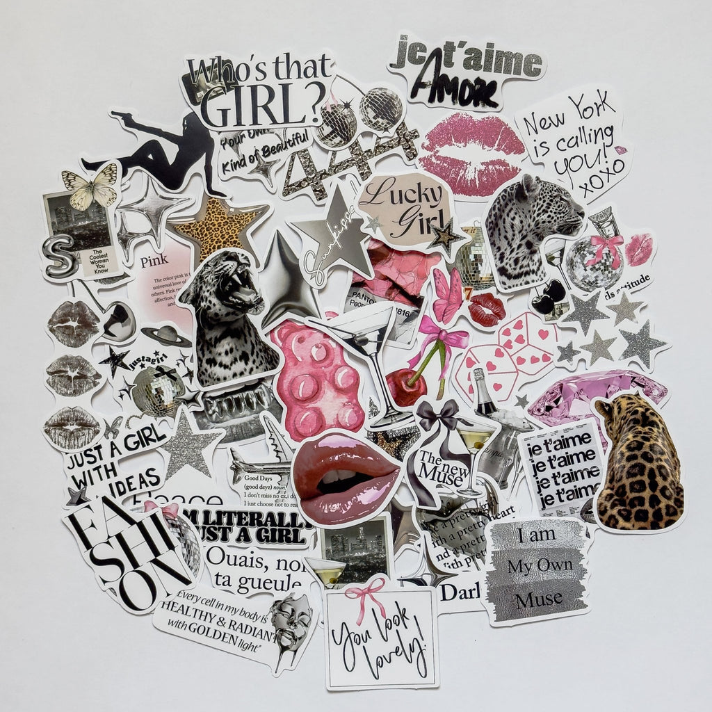 Pink & Silver Aesthetic Stickers – 50 pcs | Coquette Glam, Leopard & Y2K Collage Pack - MissiaVibes