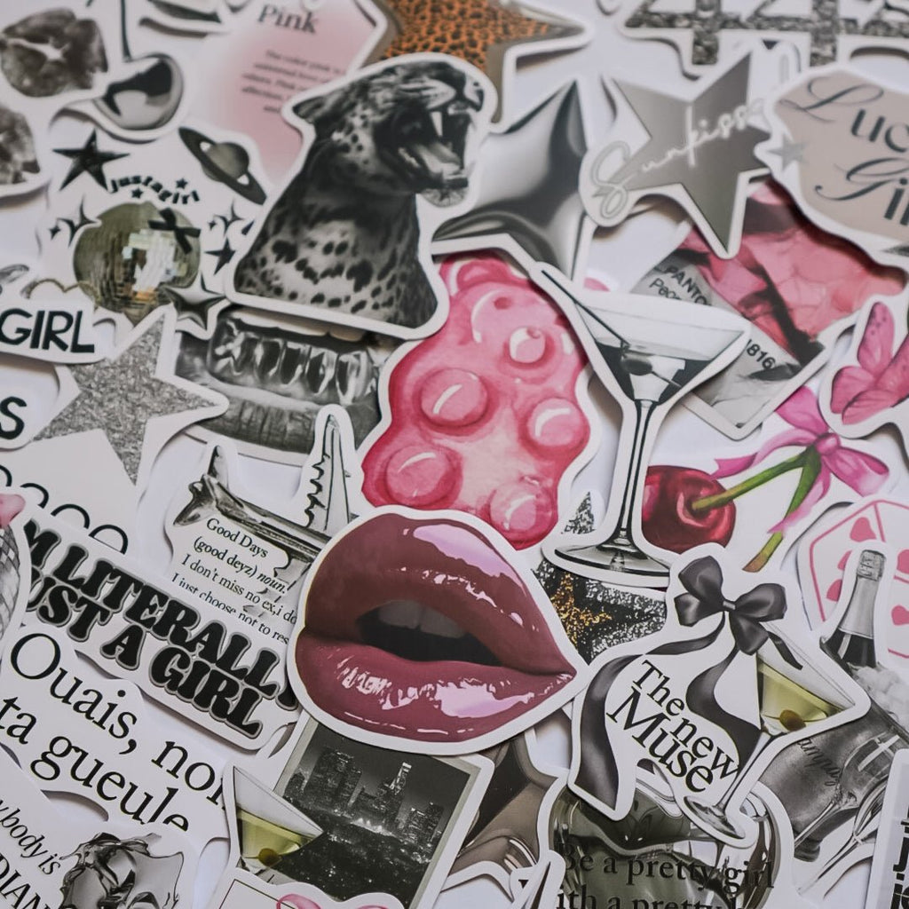 Pink & Silver Aesthetic Stickers – 50 pcs | Coquette Glam, Leopard & Y2K Collage Pack - MissiaVibes